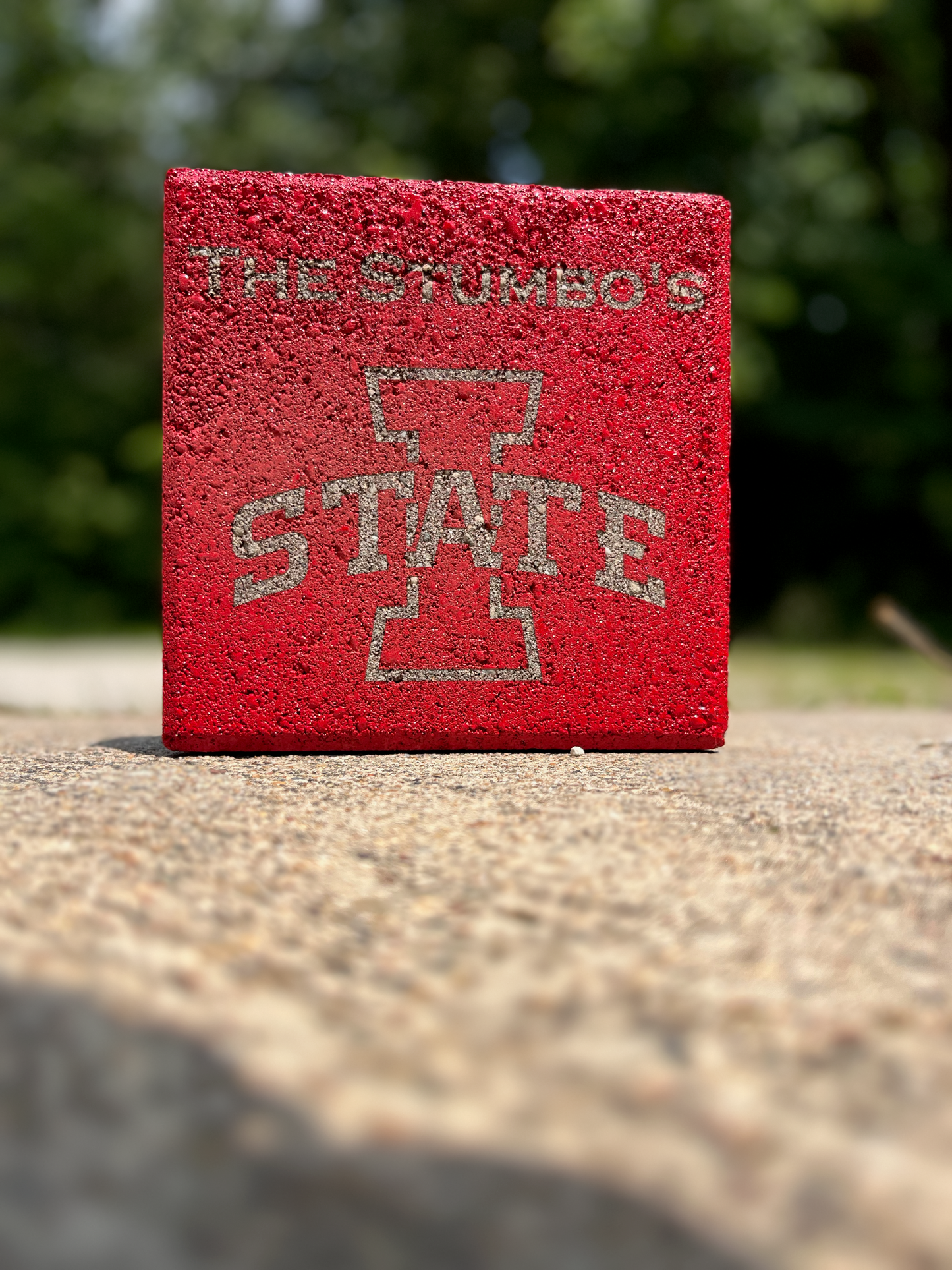 Custom Engraved Cement Stone